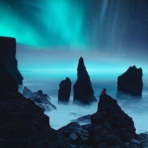 Meet your Posher, Wyatt